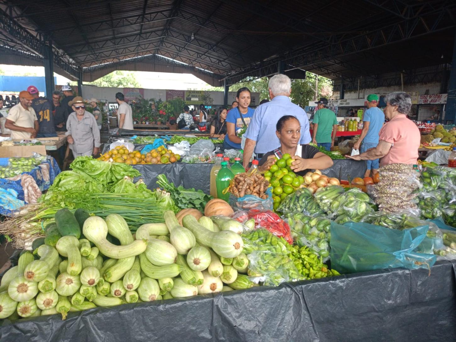 Agricultura familiar movimenta R$ 716,7 milhões em crédito rural no Rio Grande do Norte