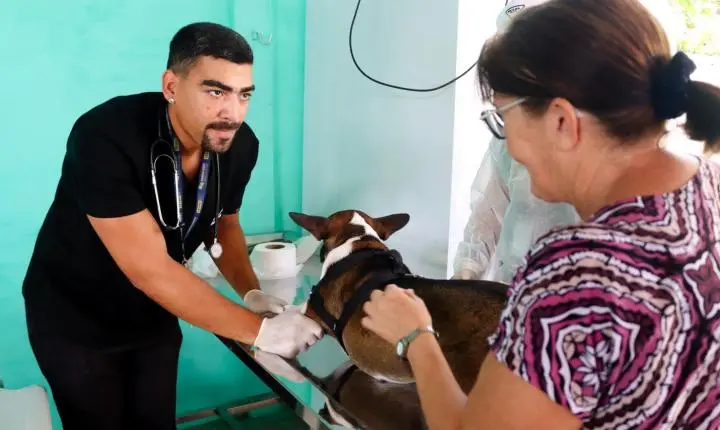 Prefeitura realiza primeira edição do Veterinários no Bairro em Pirangi do Norte