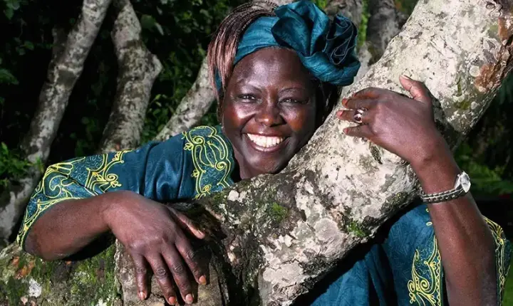 Wangari Maathai fez história como primeira mulher negra a receber o Nobel da Paz